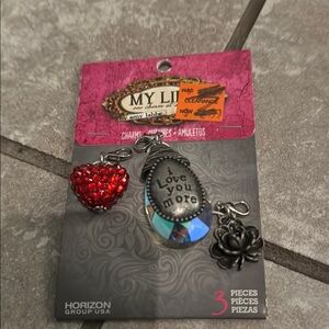 Heart and Teardrop Charm Set